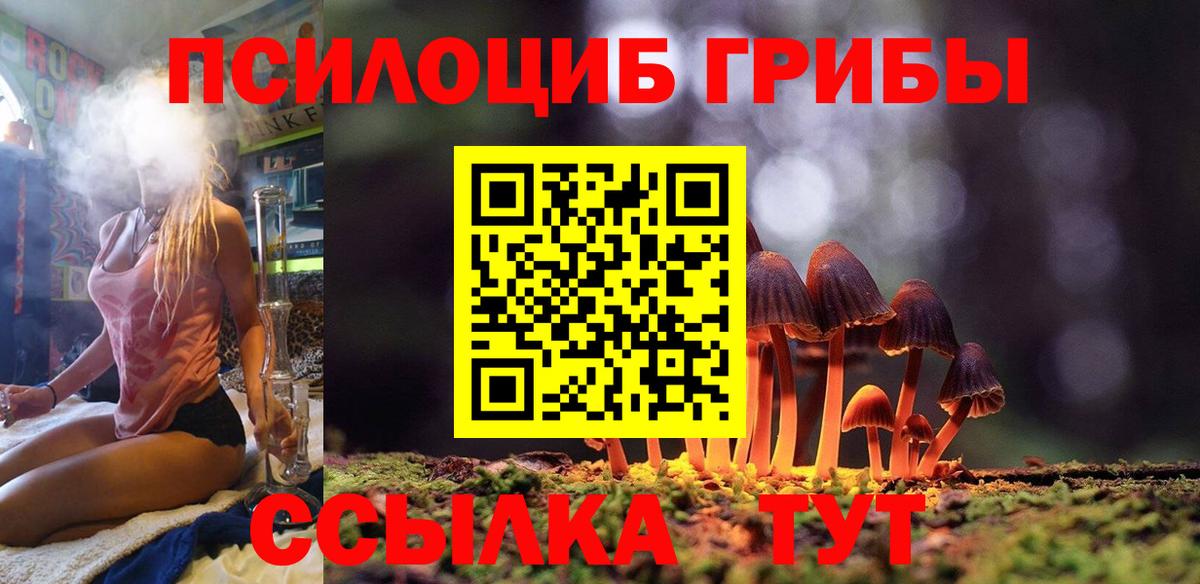купить  цена  Вход с VPN  Псилоцибиновые грибы MAGIC MUSHROOMS  Тосно  Галлюциногенные грибы Cubensis 